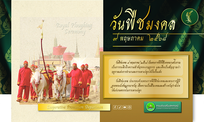 วันพืชมงคล01.1