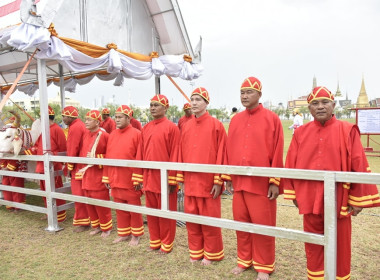 กระทรวงเกษตรฯ ซักซ้อมพระราชพีธีพืชมงคลจรดพระนังคัลแรกนาขวัญ พารามิเตอร์รูปภาพ 17