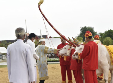 กระทรวงเกษตรฯ ซักซ้อมพระราชพีธีพืชมงคลจรดพระนังคัลแรกนาขวัญ พารามิเตอร์รูปภาพ 24