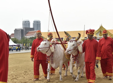 กระทรวงเกษตรฯ ซักซ้อมพระราชพีธีพืชมงคลจรดพระนังคัลแรกนาขวัญ พารามิเตอร์รูปภาพ 28