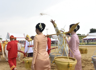 กระทรวงเกษตรฯ ซักซ้อมพระราชพีธีพืชมงคลจรดพระนังคัลแรกนาขวัญ พารามิเตอร์รูปภาพ 37