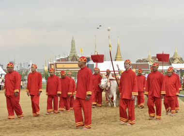 กระทรวงเกษตรฯ ซักซ้อมพระราชพีธีพืชมงคลจรดพระนังคัลแรกนาขวัญ พารามิเตอร์รูปภาพ 38