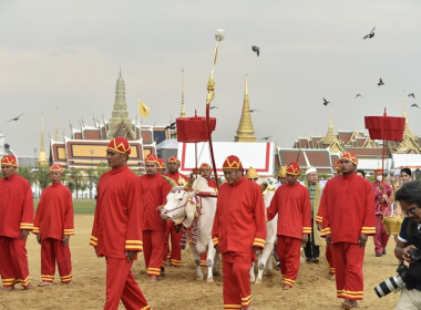 กระทรวงเกษตรฯ ซักซ้อมพระราชพีธีพืชมงคลจรดพระนังคัลแรกนาขวัญ พารามิเตอร์รูปภาพ 40