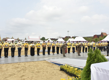 ซ้อมใหญ่ &quot;พระราชพิธีพืชมงคล&quot; พารามิเตอร์รูปภาพ 1