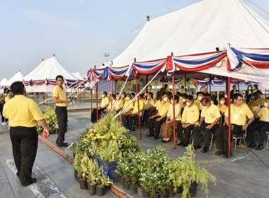 ซ้อมใหญ่ &quot;พระราชพิธีพืชมงคล&quot; พารามิเตอร์รูปภาพ 8