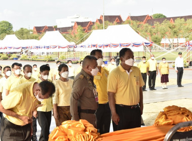 ซ้อมใหญ่ &quot;พระราชพิธีพืชมงคล&quot; พารามิเตอร์รูปภาพ 25