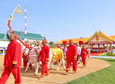 &quot;ในหลวง-พระราชินี&quot; เสด็จฯ พระราชพิธีพืชมงคลฯ 2567 พารามิเตอร์รูปภาพ 38