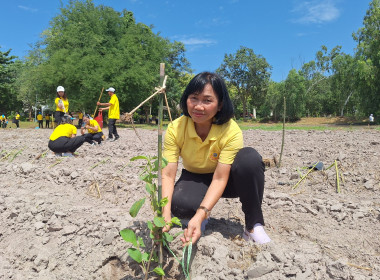 กสส. จัดงานเฉลิมพระเกียรติ “สหกรณ์อาสาทำความดีด้วยหัวใจ&quot; พารามิเตอร์รูปภาพ 14