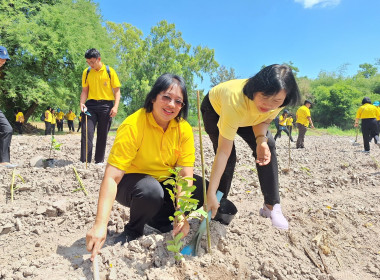 กสส. จัดงานเฉลิมพระเกียรติ “สหกรณ์อาสาทำความดีด้วยหัวใจ&quot; พารามิเตอร์รูปภาพ 16