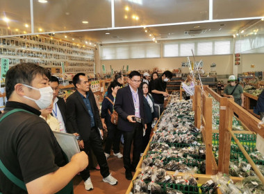 ศึกษาดูงานสหกรณ์ ณ จ.กุนมะ พารามิเตอร์รูปภาพ 8