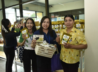 อบรม CPD23 ระยะ 2 วันที่ 3 พารามิเตอร์รูปภาพ 15