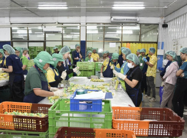 อบรม CPD23 ระยะ 2 วันที่ 3 พารามิเตอร์รูปภาพ 16