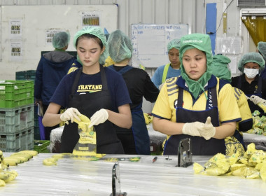 อบรม CPD23 ระยะ 2 วันที่ 3 พารามิเตอร์รูปภาพ 18