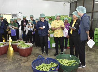 อบรม CPD23 ระยะ 2 วันที่ 3 พารามิเตอร์รูปภาพ 19