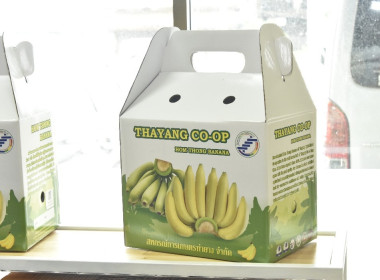 อบรม CPD23 ระยะ 2 วันที่ 3 พารามิเตอร์รูปภาพ 23