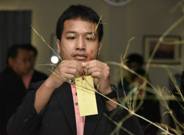 รองอธิบดีฯ มอบประกาศ CPD 23 พารามิเตอร์รูปภาพ 20