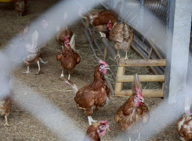 เพราะการพัฒนาบุคลากรคือ การพัฒนางานสหกรณ์อย่างยั่งยืน พารามิเตอร์รูปภาพ 27