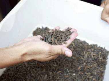 เพราะการพัฒนาบุคลากรคือ การพัฒนางานสหกรณ์อย่างยั่งยืน พารามิเตอร์รูปภาพ 28