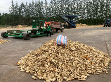 จนท.กรมสหกรณ์เมียนมา ดูงาน สก.ขามสะแกแสง จำกัด พารามิเตอร์รูปภาพ 24