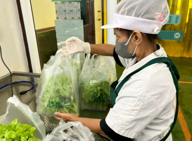 จนท.กรมสหกรณ์เมียนมา ศึกษาดูงานสหกรณ์พื้นที่อำเภอวังน้ำเขียว พารามิเตอร์รูปภาพ 6