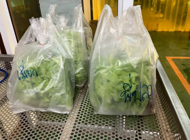 จนท.กรมสหกรณ์เมียนมา ศึกษาดูงานสหกรณ์พื้นที่อำเภอวังน้ำเขียว พารามิเตอร์รูปภาพ 7