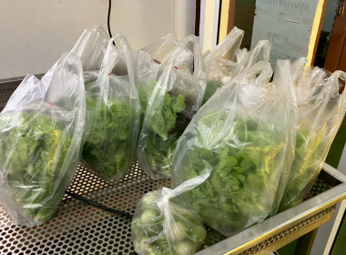 จนท.กรมสหกรณ์เมียนมา ศึกษาดูงานสหกรณ์พื้นที่อำเภอวังน้ำเขียว พารามิเตอร์รูปภาพ 11