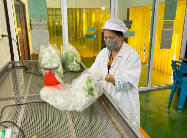 จนท.กรมสหกรณ์เมียนมา ศึกษาดูงานสหกรณ์พื้นที่อำเภอวังน้ำเขียว พารามิเตอร์รูปภาพ 12