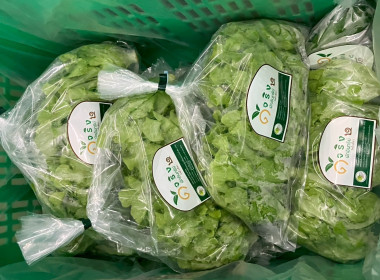 จนท.กรมสหกรณ์เมียนมา ศึกษาดูงานสหกรณ์พื้นที่อำเภอวังน้ำเขียว พารามิเตอร์รูปภาพ 14