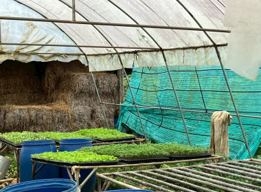 จนท.กรมสหกรณ์เมียนมา ศึกษาดูงานสหกรณ์พื้นที่อำเภอวังน้ำเขียว พารามิเตอร์รูปภาพ 47