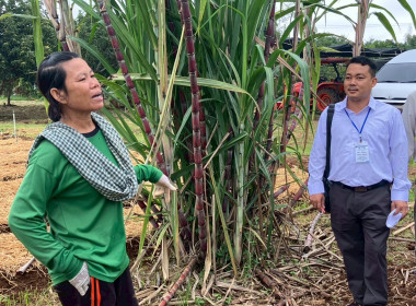 จนท.กรมสหกรณ์เมียนมา ศึกษาดูงานสหกรณ์พื้นที่อำเภอวังน้ำเขียว พารามิเตอร์รูปภาพ 51