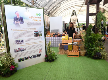 งานมหกรรมเกษตรไทยก้าวสู่อนาคต ด้วยศาสตร์พระราชา 4-7 ธ.ค. 68 พารามิเตอร์รูปภาพ 70
