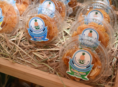 งานมหกรรมเกษตรไทยก้าวสู่อนาคต ด้วยศาสตร์พระราชา 4-7 ธ.ค. 68 พารามิเตอร์รูปภาพ 71