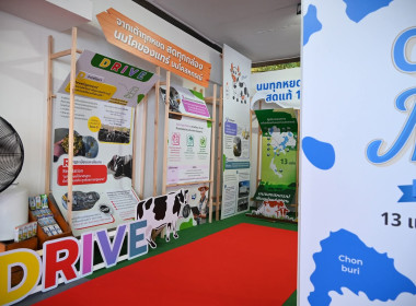 "กรมสมเด็จพระเทพฯ" เสด็จฯ เปิดงานเทศกาลโคนมแห่งชาติ ประจำปี ... พารามิเตอร์รูปภาพ 63