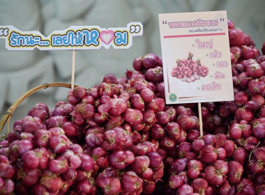 กิจกรรมการปล่อยคาราวานกระจายหอมแดงของจังหวัดศรีสะเกษ พารามิเตอร์รูปภาพ 4