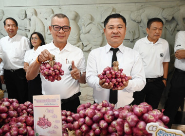 กิจกรรมการปล่อยคาราวานกระจายหอมแดงของจังหวัดศรีสะเกษ พารามิเตอร์รูปภาพ 8