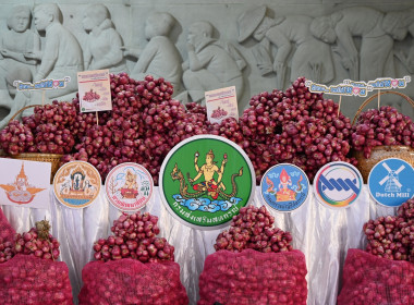 กิจกรรมการปล่อยคาราวานกระจายหอมแดงของจังหวัดศรีสะเกษ พารามิเตอร์รูปภาพ 9