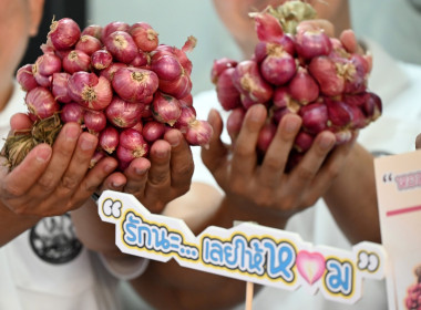 กิจกรรมการปล่อยคาราวานกระจายหอมแดงของจังหวัดศรีสะเกษ พารามิเตอร์รูปภาพ 10