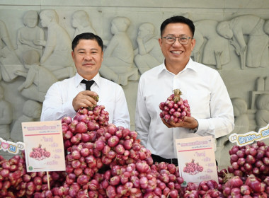 กิจกรรมการปล่อยคาราวานกระจายหอมแดงของจังหวัดศรีสะเกษ พารามิเตอร์รูปภาพ 16