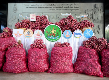 กิจกรรมการปล่อยคาราวานกระจายหอมแดงของจังหวัดศรีสะเกษ พารามิเตอร์รูปภาพ 39