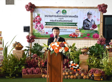 ปล่อยคาราวานหอมแดงศรีสะเกษ ณ จังหวัดเชียงใหม่ พารามิเตอร์รูปภาพ 29