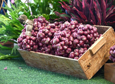 ปล่อยคาราวานหอมแดงศรีสะเกษ ณ จังหวัดเชียงใหม่ พารามิเตอร์รูปภาพ 54