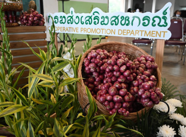 ปล่อยคาราวานหอมแดงศรีสะเกษ ณ จังหวัดเชียงใหม่ พารามิเตอร์รูปภาพ 56