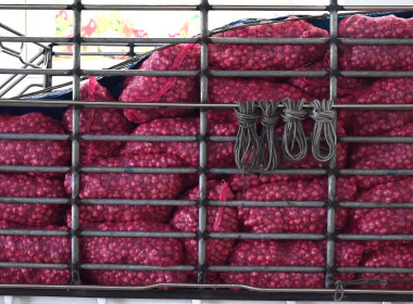 ปล่อยคาราวานหอมแดงศรีสะเกษ ณ จังหวัดเชียงใหม่ พารามิเตอร์รูปภาพ 57