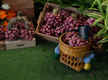 ปล่อยคาราวานหอมแดงศรีสะเกษ ณ จังหวัดเชียงใหม่ พารามิเตอร์รูปภาพ 59