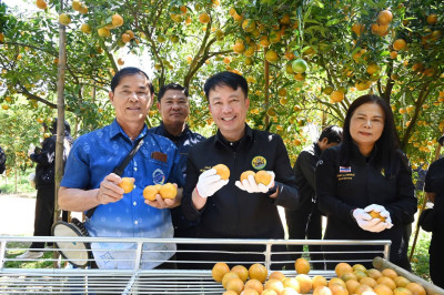 ลงพื้นที่เยี่ยมชมการจัดการสวนส้มปลอดภัยตามมาตรฐาน GAP ... พารามิเตอร์รูปภาพ 1