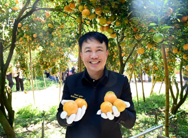 ลงพื้นที่เยี่ยมชมการจัดการสวนส้มปลอดภัยตามมาตรฐาน GAP ... พารามิเตอร์รูปภาพ 1