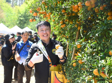 ลงพื้นที่เยี่ยมชมการจัดการสวนส้มปลอดภัยตามมาตรฐาน GAP ... พารามิเตอร์รูปภาพ 2