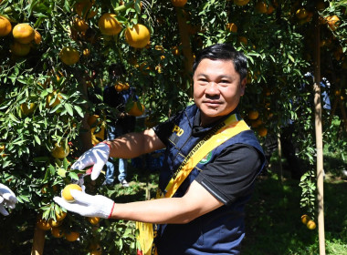 ลงพื้นที่เยี่ยมชมการจัดการสวนส้มปลอดภัยตามมาตรฐาน GAP ... พารามิเตอร์รูปภาพ 3