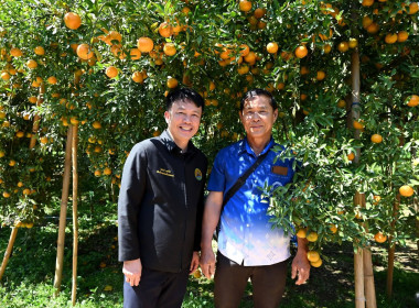 ลงพื้นที่เยี่ยมชมการจัดการสวนส้มปลอดภัยตามมาตรฐาน GAP ... พารามิเตอร์รูปภาพ 24