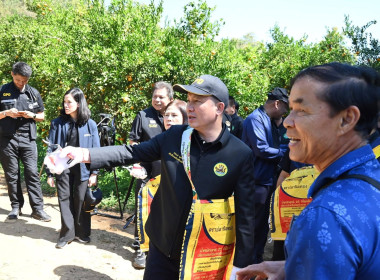 ลงพื้นที่เยี่ยมชมการจัดการสวนส้มปลอดภัยตามมาตรฐาน GAP ... พารามิเตอร์รูปภาพ 26